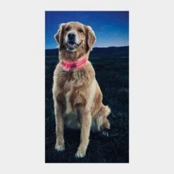 Nite Dawg II LED Collar (Large) -Fishing Club Store go 319396 b