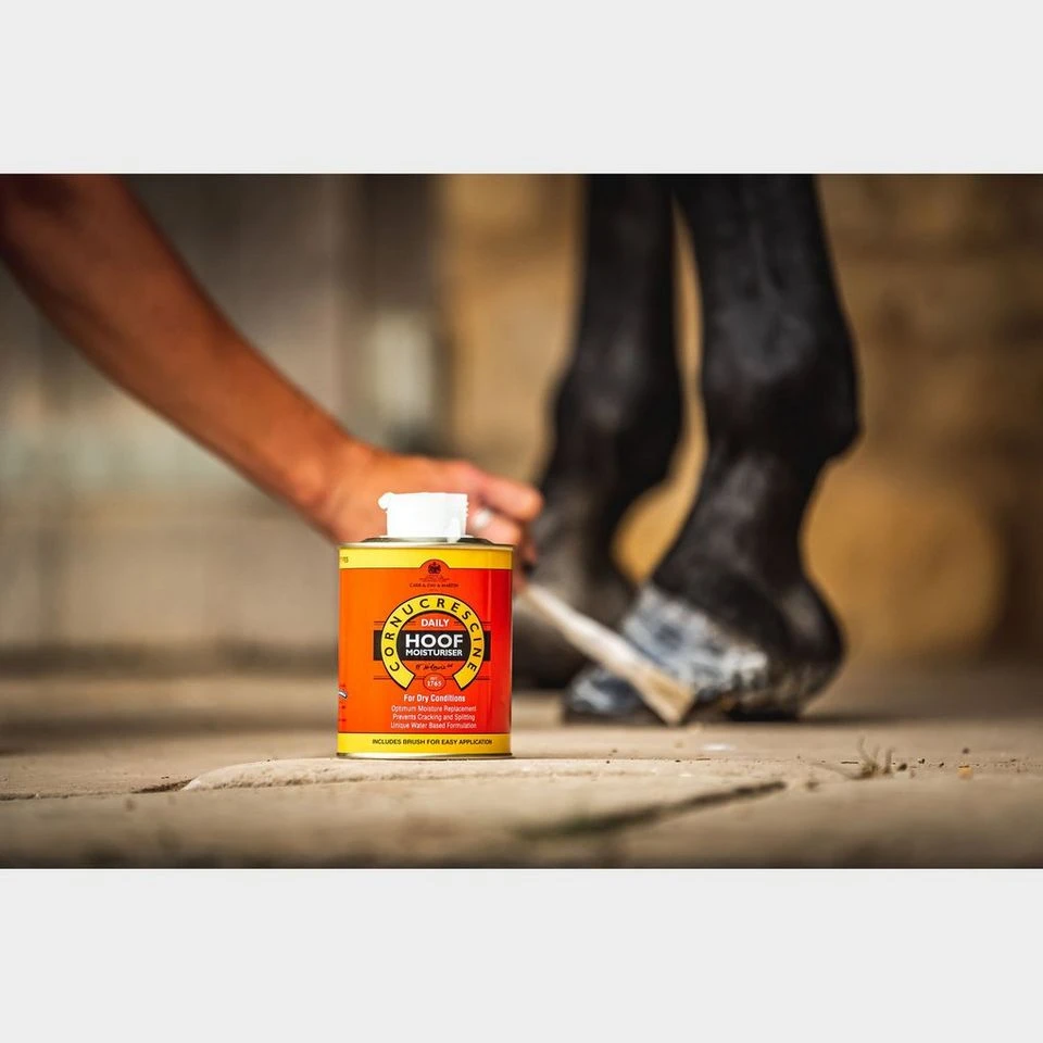 Cornucrescine Daily Moisturiser 2 Cornucrescine Daily Moisturiser - Image 2