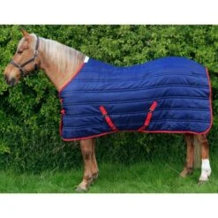 Thomas Stable Rug