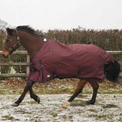 JHL Essential Turnout Rug