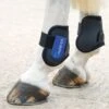 ARMA Fetlock Boots Black/Royal Blue