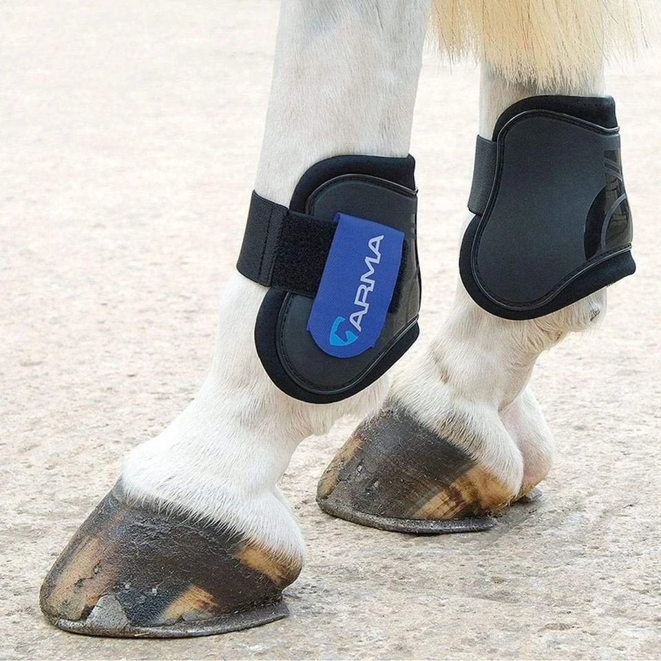 ARMA Fetlock Boots Black/Royal Blue 1 ARMA Fetlock Boots Black/Royal Blue