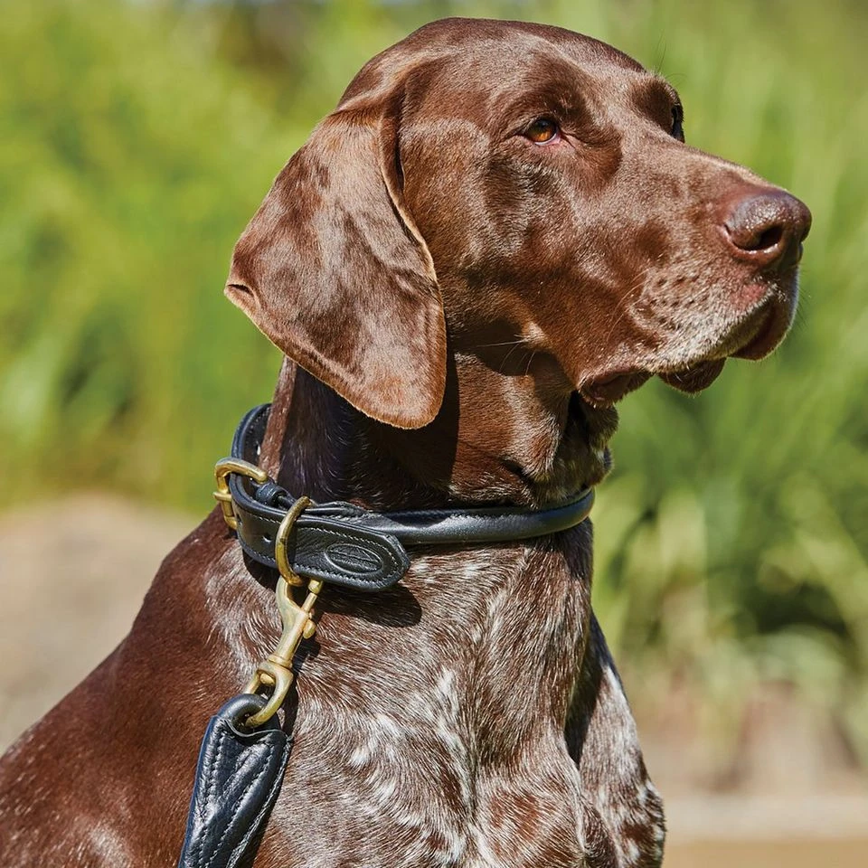 Weatherbeeta Rolled Leather Dog Lead 2 Weatherbeeta Rolled Leather Dog Lead - Image 2